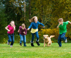 Why Your Dog 🐶 Can Be the Best Workout Partner