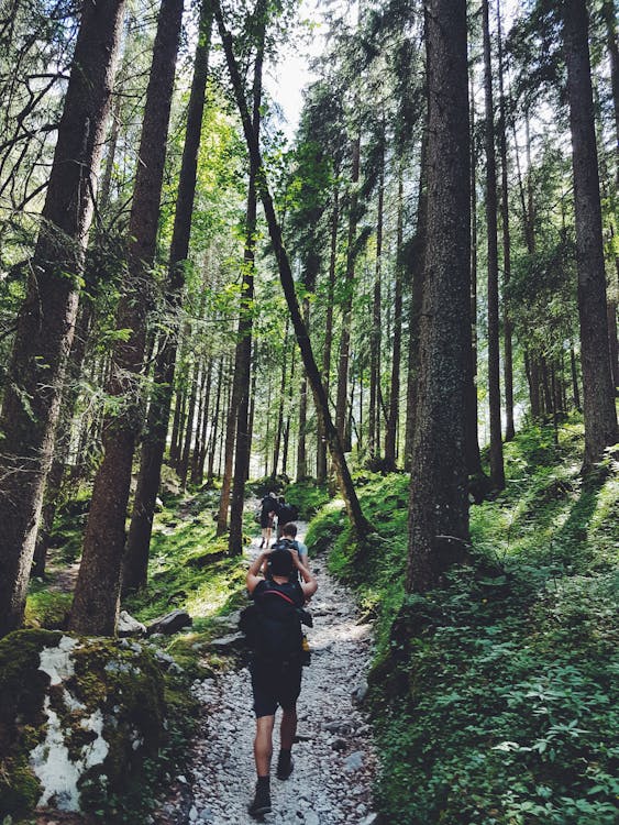 Friends enjoying outdoor hobbies for mental well-being